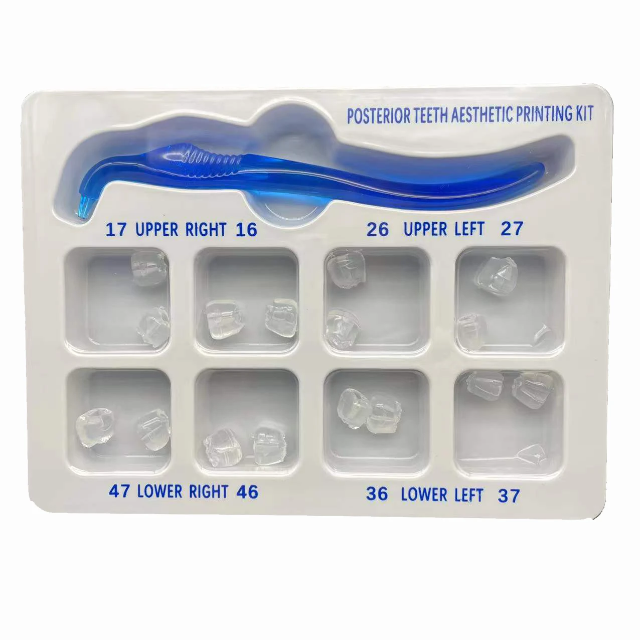 Dental Orthodontic Posterior T - 3D Printing Orthodontics recension och pris