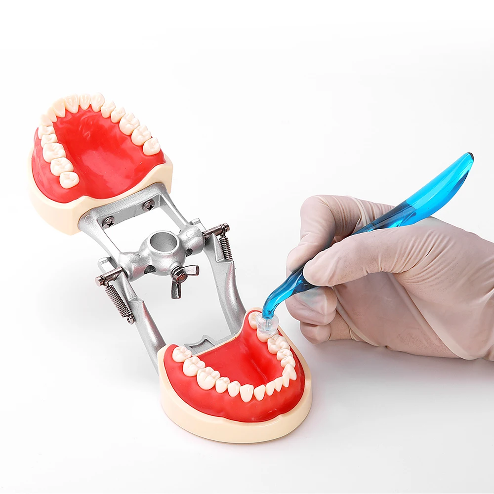 Dental Orthodontic Posterior T - 3D Printing Orthodontics recension och pris